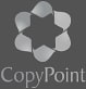 CopyPoint Druk Wielkoromatowy